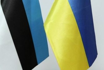 Украина согласовала с Эстонией общие шаги для убеждения партнеров предоставить больше систем ПВО