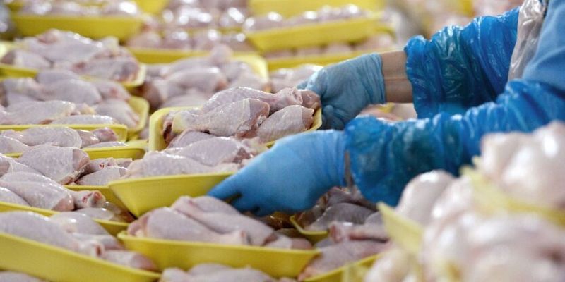 Цены на мясо пошли вверх: сколько стоит свинина и курятина в январе