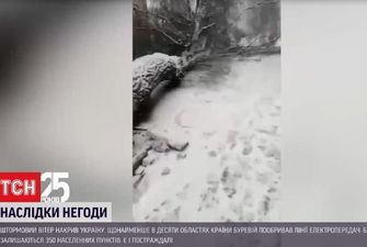 Жінку ледь не розчавило: на Львівщині через негоду впало величезне дерево