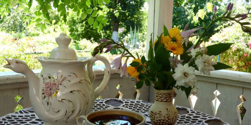 Туристов позвали выпить чая на веранде дома Коцюбинских