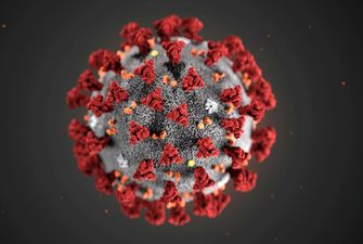 У Грузії зафіксували третій випадок зараження новим коронавірусом