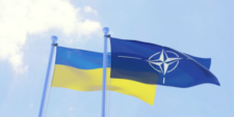 Евродепутат дала Украине совет, как ускорить вступление страны в НАТО