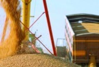 Експорт українського зерна у листопаді перевищив 3 млн тонн