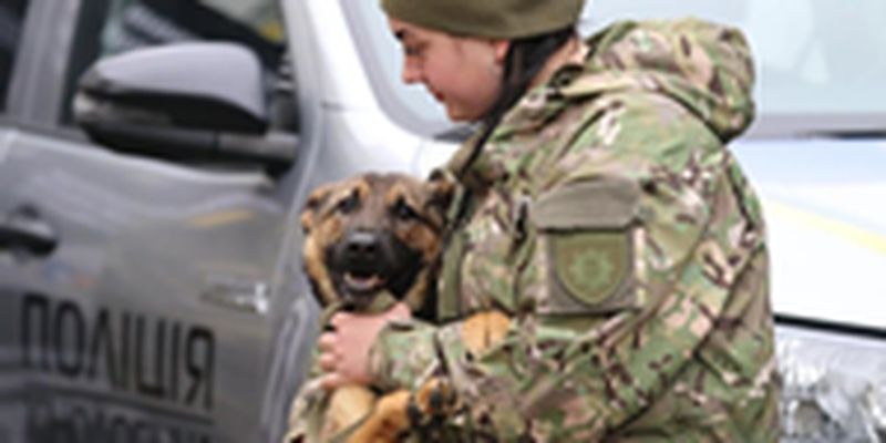 Нидерланды передали полиции Киевщины 11 собак-саперов