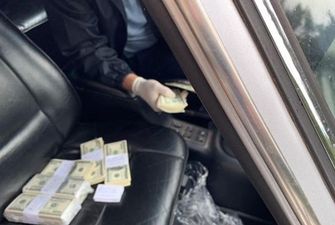 Главу одной из РГА задержали на взятке в сто тысяч долларов