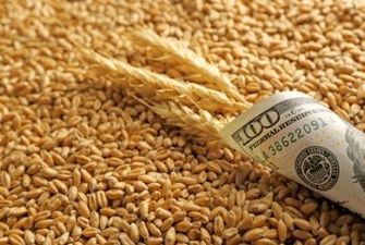 Экспорт зерновых из Украины упал на 23%