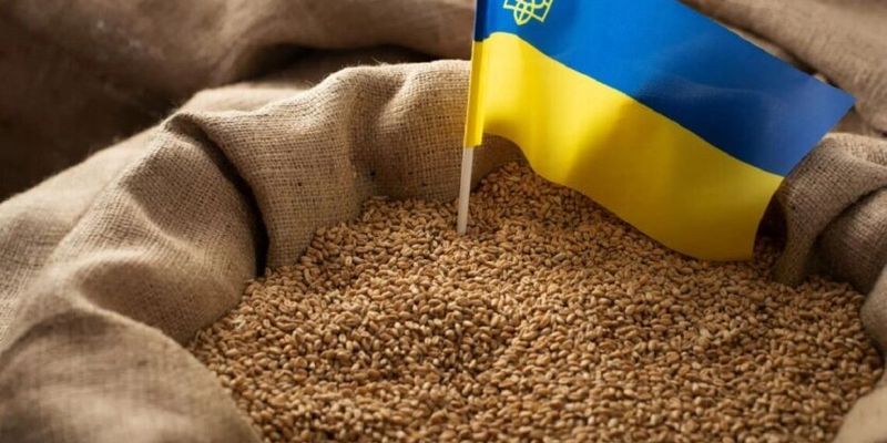 Польша засекретила список компаний-импортеров украинского зерна: причина