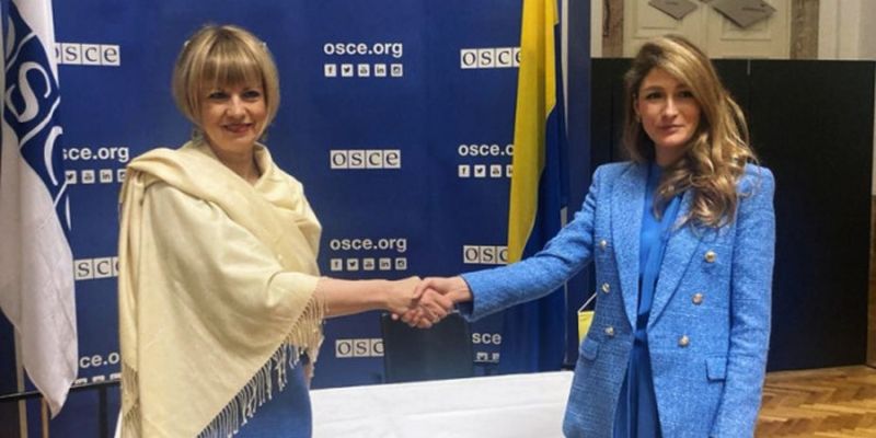 ОБСЕ возобновляет проектную деятельность в Украине