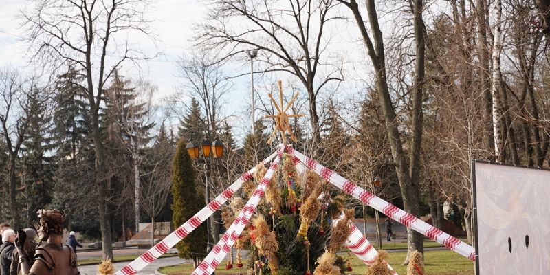 В центре Винницы к Рождеству установили вертеп, звезды и трехметрового дидуха