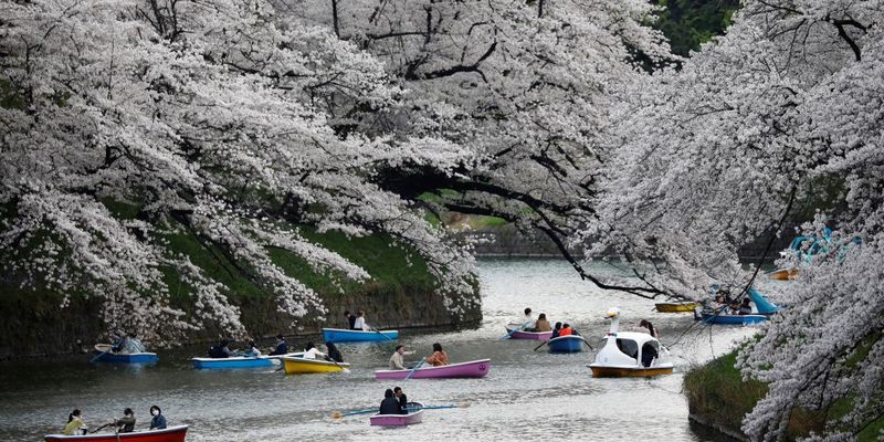Япония с октября откроет границы для массового туризма