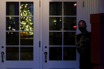 До Різдва готові: Білий дім у Вашингтоні прикрасили до свят