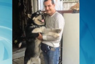 В Одессе пес встретился с хозяином после двух месяцев разлуки