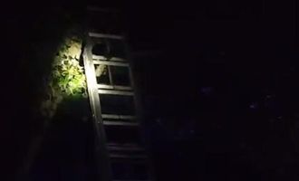 В Кривом Роге парень застрял на дереве, пытаясь спасти кота: на место вызвали спасателей. Видео