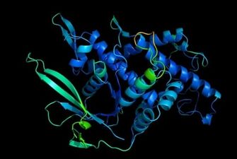 Искусственный интеллект расшифровал структуру почти всех известных науке белков