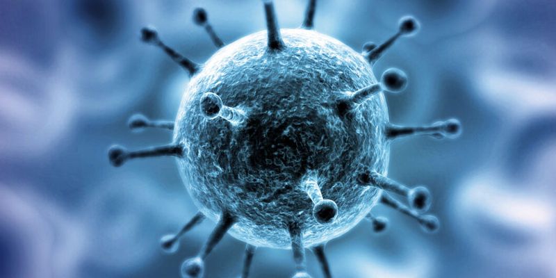 Риск попадания коронавируса на территорию Украины очень высокий – медик