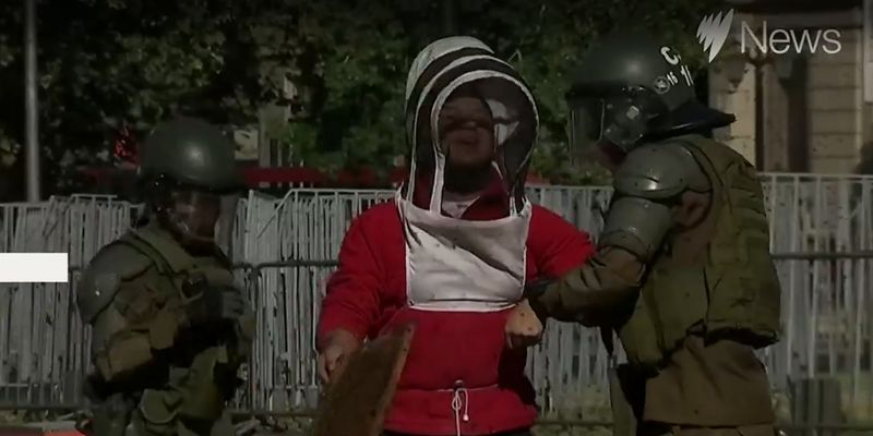 В Чили пчелы помешали полицейским разогнать митинг пасечников
