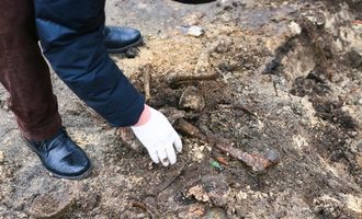 В Киеве рядом с телецентром нашли человеческие останки