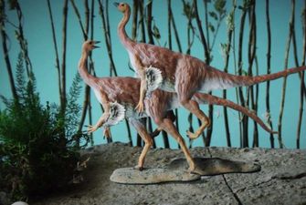 "Как курица и крокодил": палеонтологи рассказали, как динозавры занимались сексом 