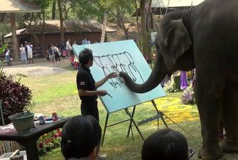 Слониха-художник удивила туристов
