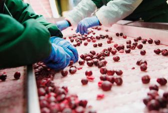 Група T.B. Fruit переносить виробництво заморожених фрукутів та овочів в Україну