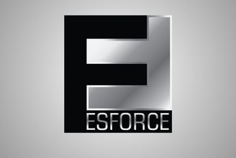 Холдинг ESforce подешевел со 100 до 30 млн долларов