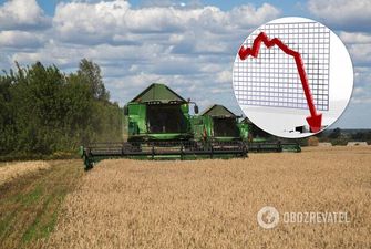Сельское хозяйство Украины рекордно обвалилось: экономист объяснил причину