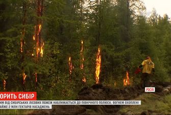 Дим від сибірських лісових пожеж наближається до Північного полюсу