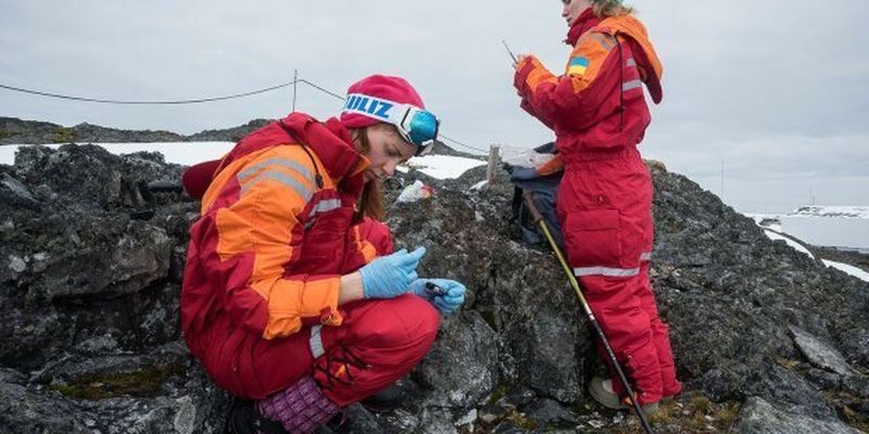 "Якщо дружини дізнаються...": в антарктичній експедиції ряди українських дослідників поповнили жінки