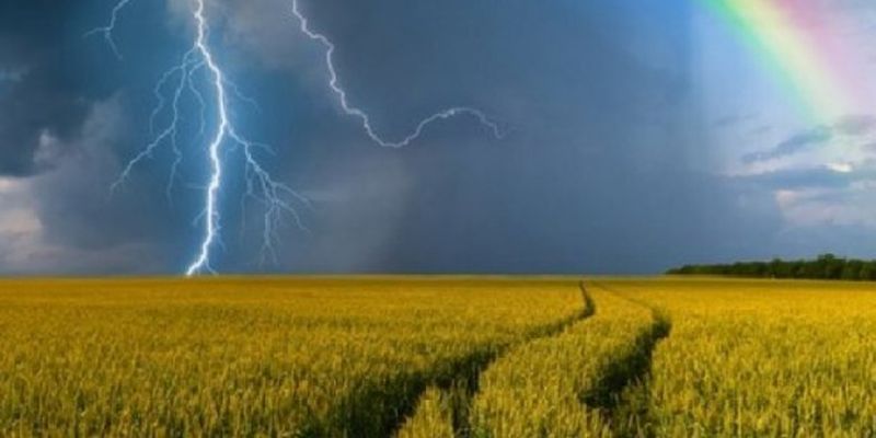 Дожди, грозы и +35: синоптики уточнили прогноз погоды на 27 июня