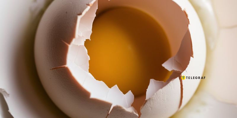 Не выбрасывайте яичную скорлупу: несколько полезных способов ее использовать