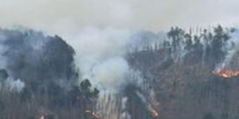 Європа на шляху до нового рекорду щодо лісових пожеж