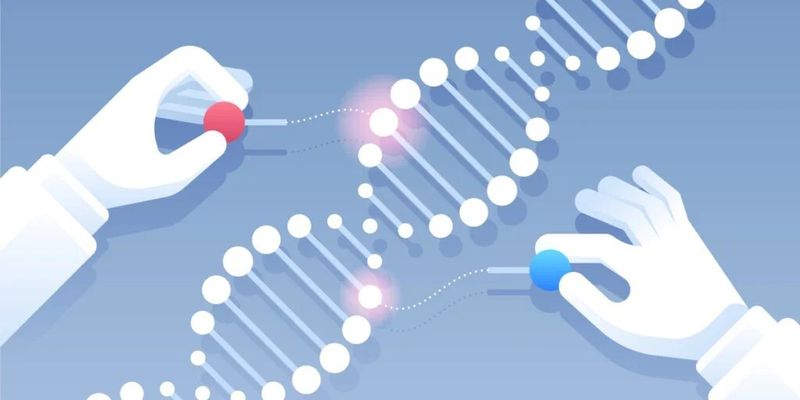 Вчені створили рекордно маленьку антену з молекули ДНК