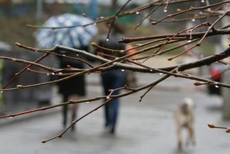 Погода в Украине по 17 декабря: в каких областях ждать дожди и мокрый снег