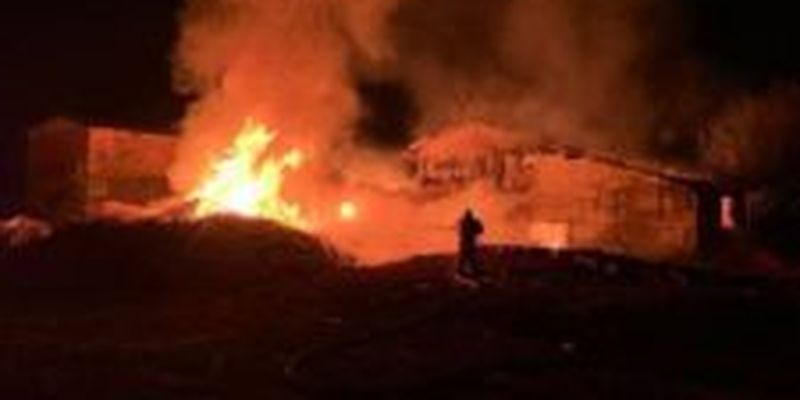 Под Харьковом во время масштабного пожара на пилораме погиб мужчина
