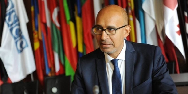 Представитель ОБСЕ по свободе СМИ обеспокоен законопроектом Минкульта о дезинформации