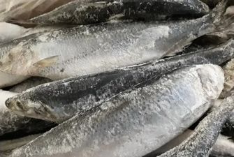Риба та морепродукти не лишають шансів українцям: чи варто закуплятися