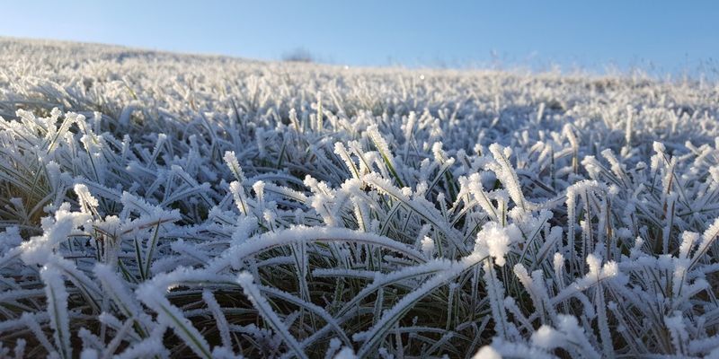 Снег, гроза, сильный ветер и холод: в Украину идет морозный шторм