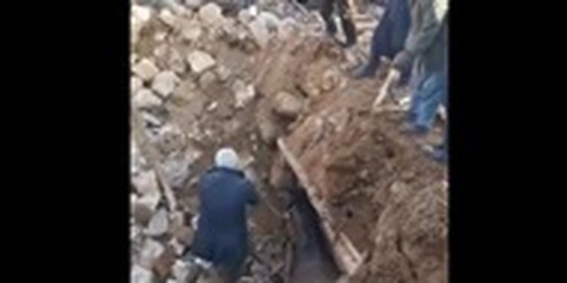 В Турции из-под завалов достали коня: он провел там 21 день