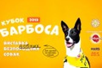 Встреть своего Барбоса: выставка бесПОДОБНЫХ собак в Киеве