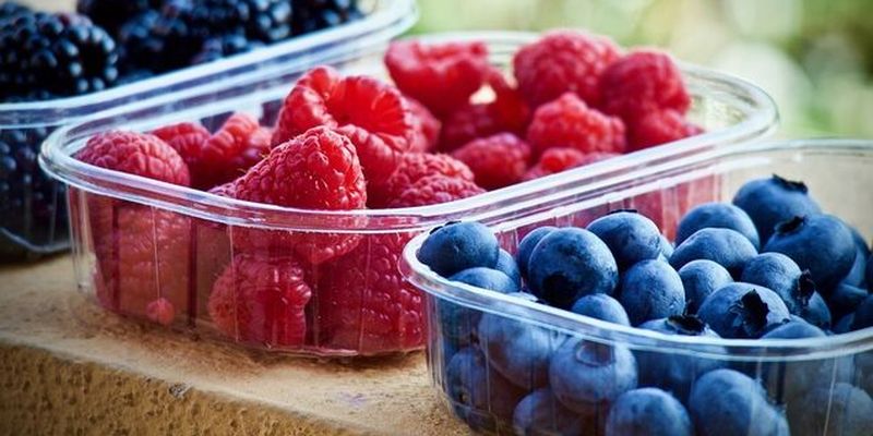 Не более 300 граммов в день: диетолог предупредила о вреде летних ягод