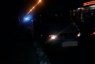 На Закарпатье микроавтобус Mercedes сбил пешехода, выбежавшего на дорогу