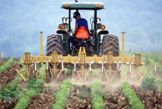 Трехкратное сокращение: эксперт оценил ограничение господдержки фермеров
