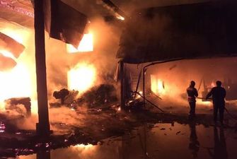Сгорели цех и коровник, погиб человек: на Закарпатье произошел масштабный пожар