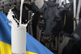 Аграрный комитет Рады утвердил пакет рекомендаций по выводу из кризиса молочной отрасли