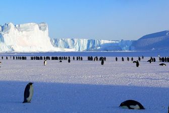 Глобальне потепління не дісталось, в Антарктиді встановлено температурний рекорд