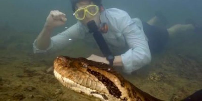 Найбільшу змію на планеті вбили мисливці: який вона мала вигляд