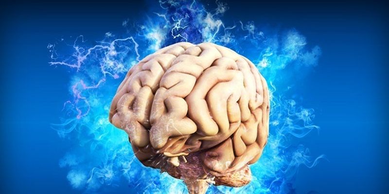 Ученые обнаружили в мозге центр принятия решений