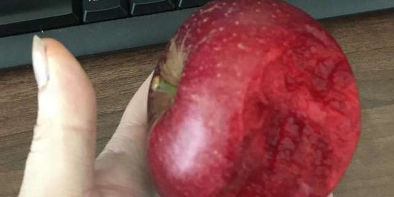 Оптическая иллюзия: «кровавое» яблоко ввело в ступор пользователей сети