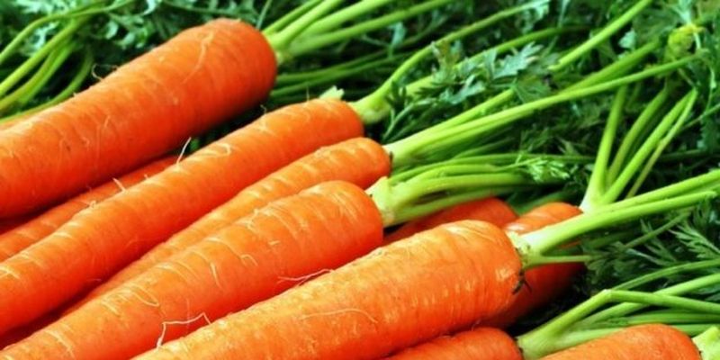 Стоит включить в рацион: вся правда о моркови