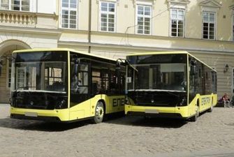 Автопарк Украины увеличился: сколько автобусов купить